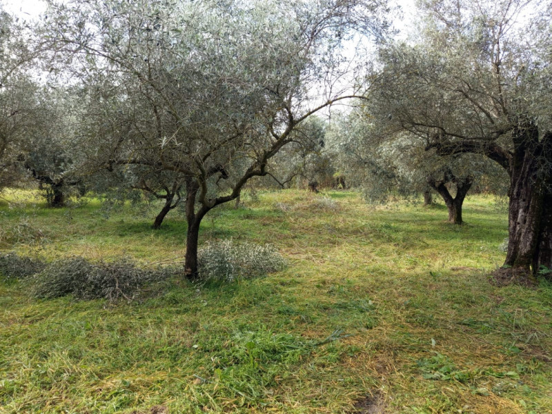 immagine annuncio 8 di 9