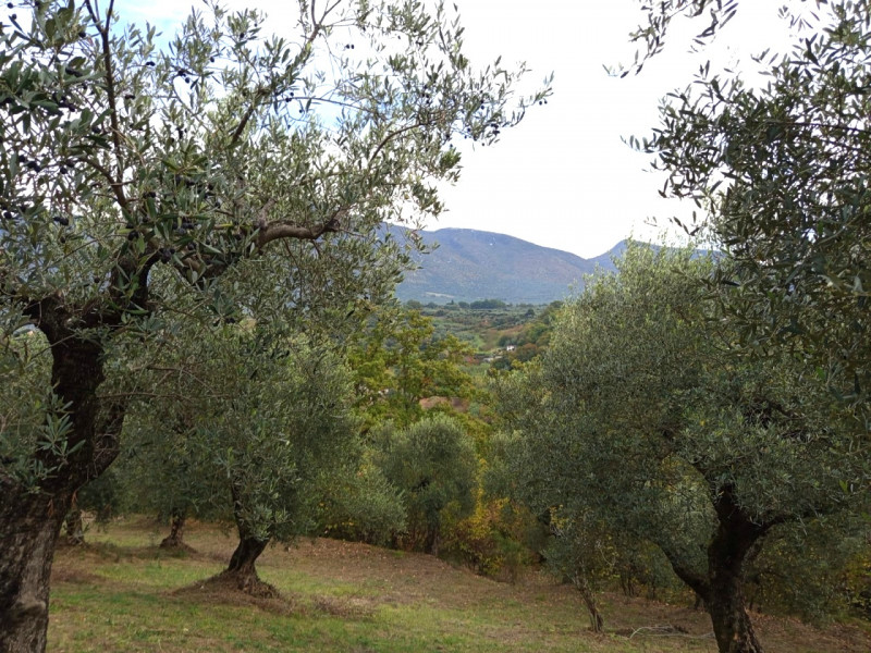 immagine annuncio 4 di 8