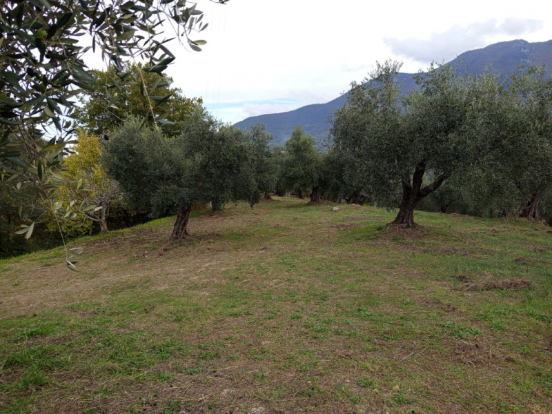 immagine annuncio 6 di 8