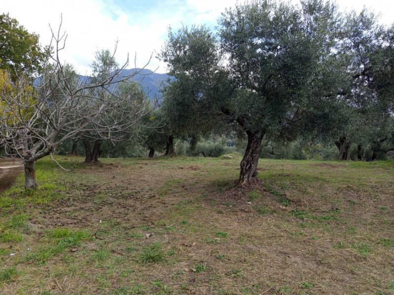 immagine annuncio 7 di 8