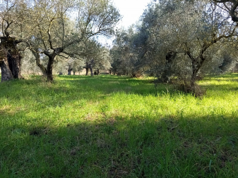 immagine annuncio 3 di 8