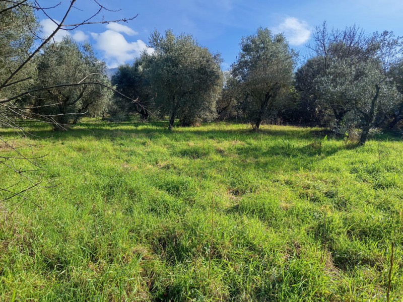 immagine annuncio 7 di 8