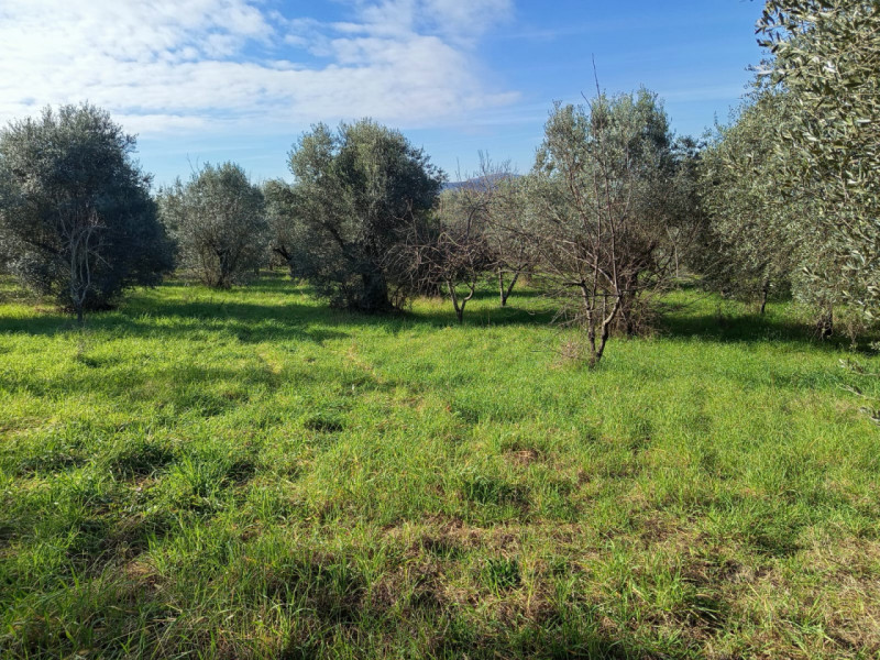 immagine annuncio 1 di 8