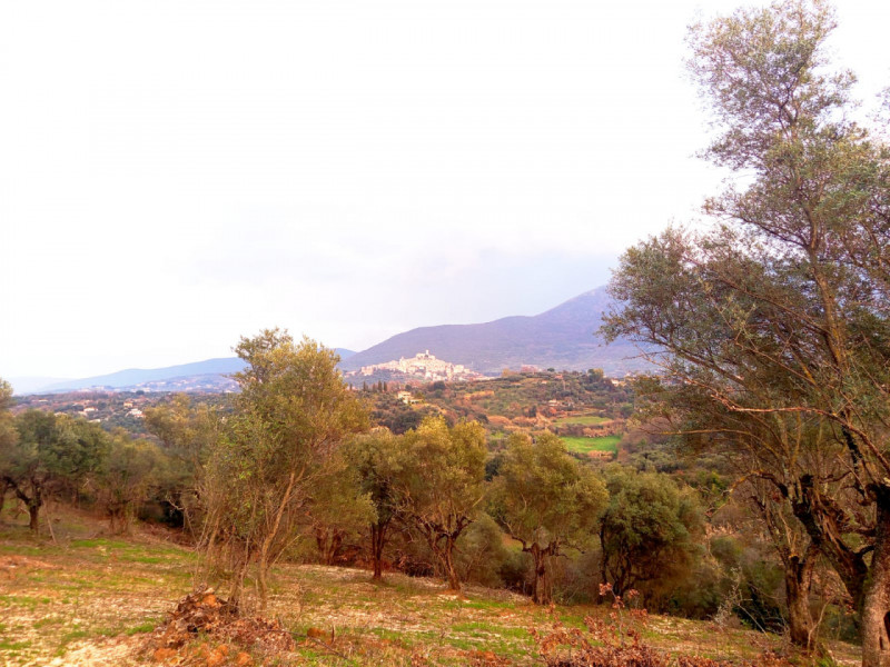 immagine annuncio 3 di 8