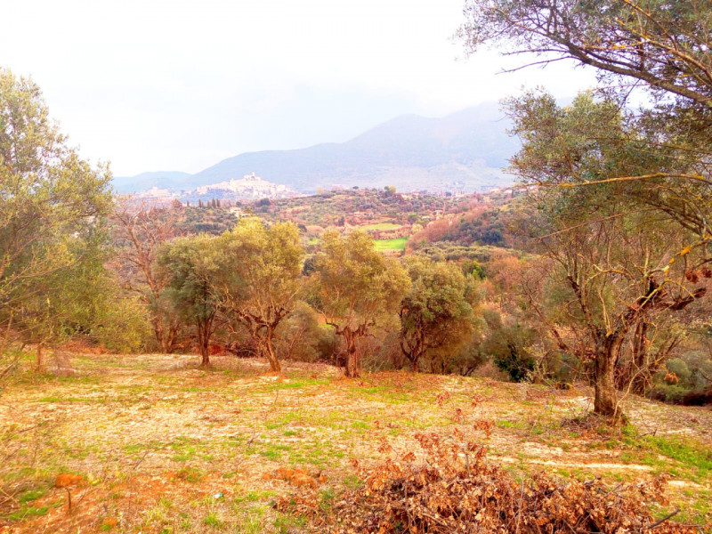 immagine annuncio 5 di 8