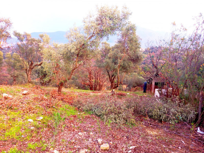 immagine annuncio 1 di 8