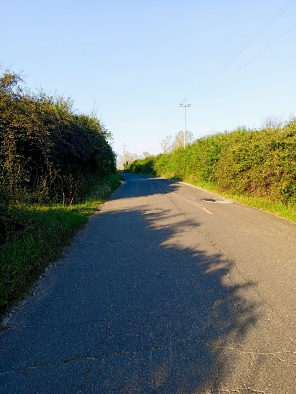 immagine annuncio 6 di 8