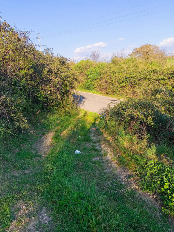 immagine annuncio 7 di 8