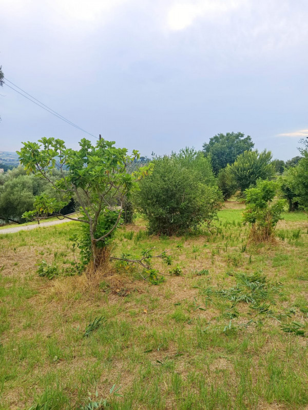 immagine annuncio 2 di 9