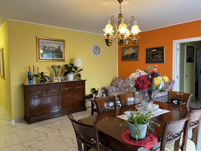 immagine annuncio 4 di 10