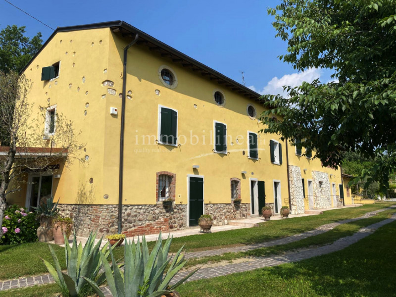 immagine annuncio 2 di 10