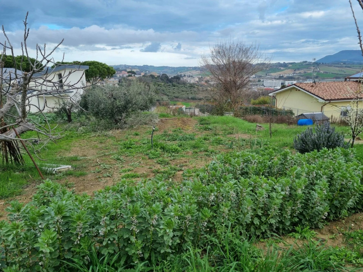 immagine annuncio 7 di 10