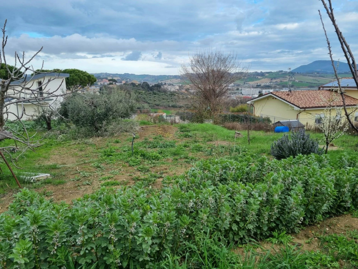 immagine annuncio 8 di 10