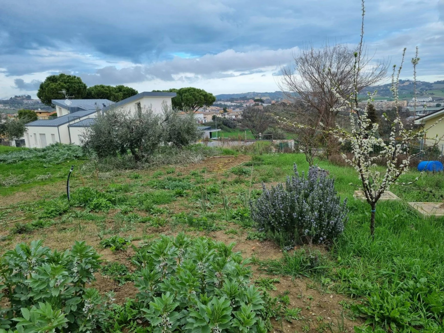 immagine annuncio 9 di 10