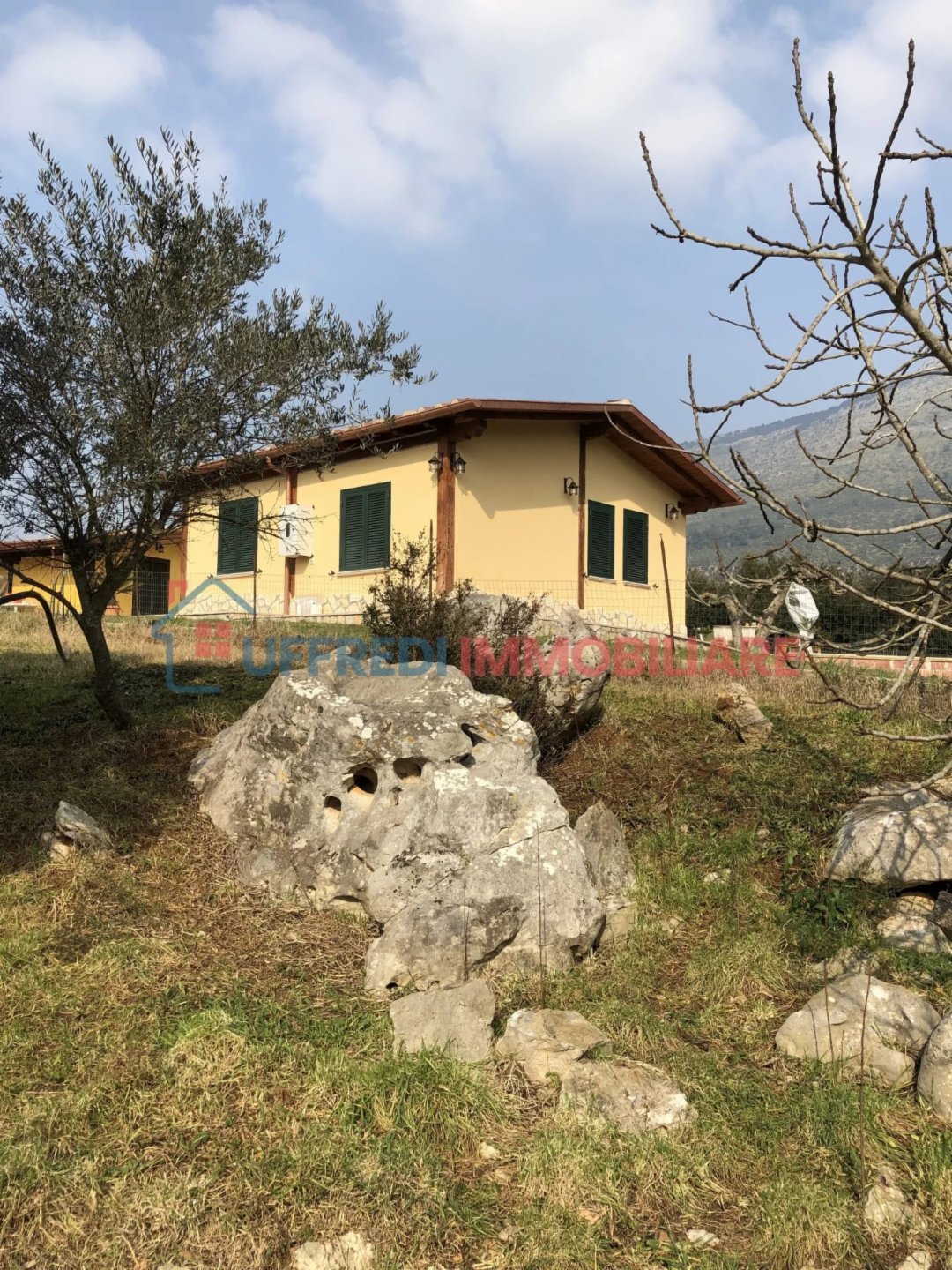 immagine annuncio 2 di 10