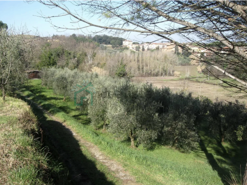immagine annuncio 6 di 7
