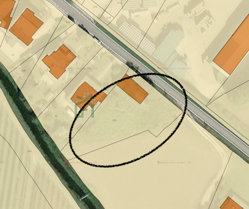 immagine annuncio 1 di 6