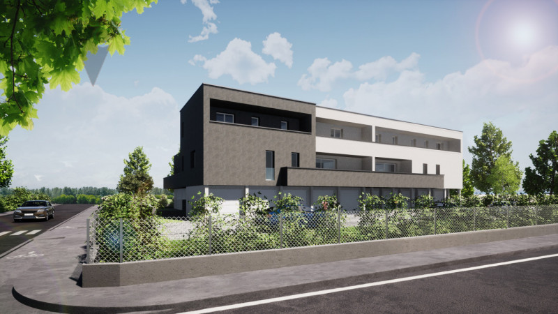 immagine annuncio 5 di 6