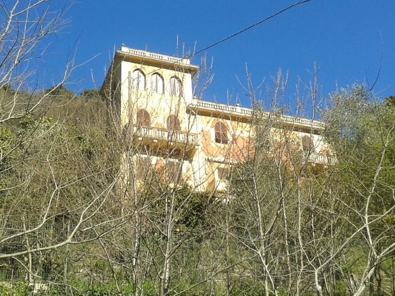 immagine annuncio 5 di 6