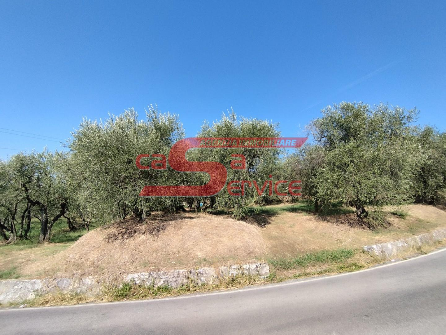 immagine annuncio 5 di 7