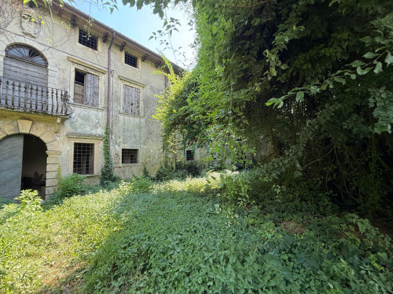 immagine annuncio 3 di 6