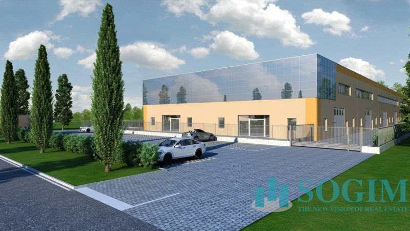 immagine annuncio 3 di 10