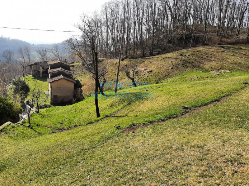 immagine annuncio 3 di 7