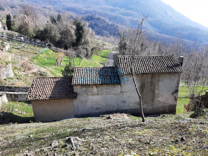immagine annuncio 4 di 7