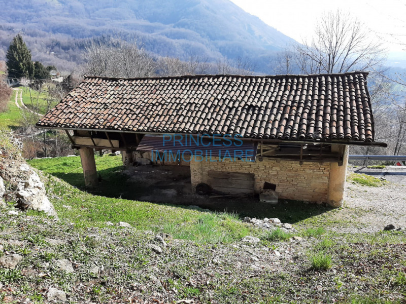 immagine annuncio 6 di 7