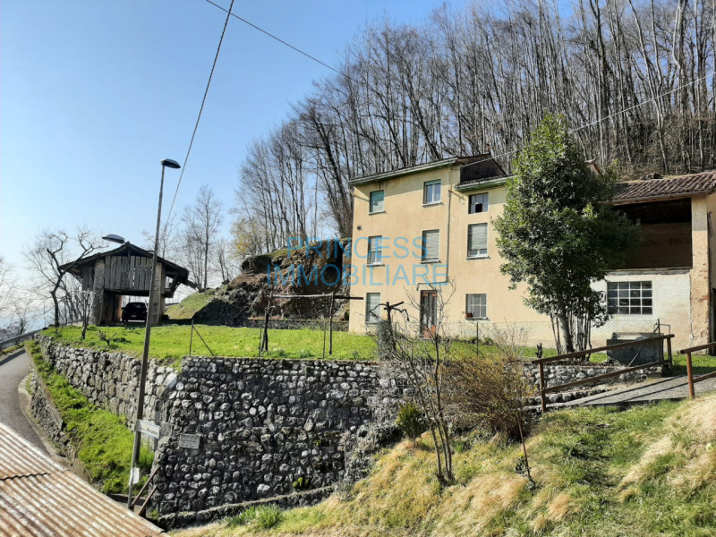 immagine annuncio 5 di 7