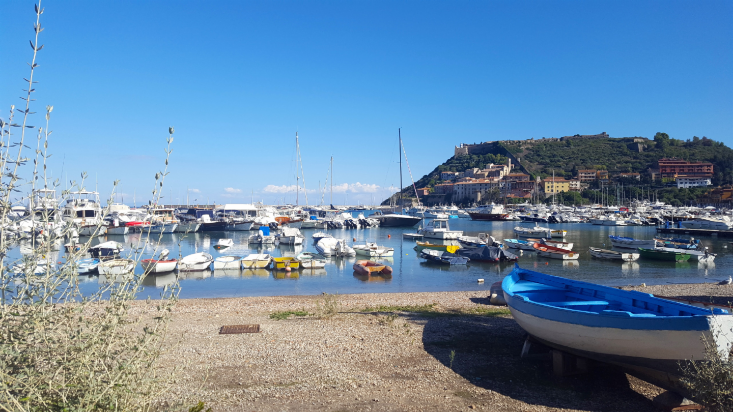 immagine annuncio 3 di 7