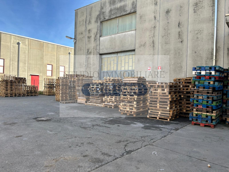 immagine annuncio 5 di 10