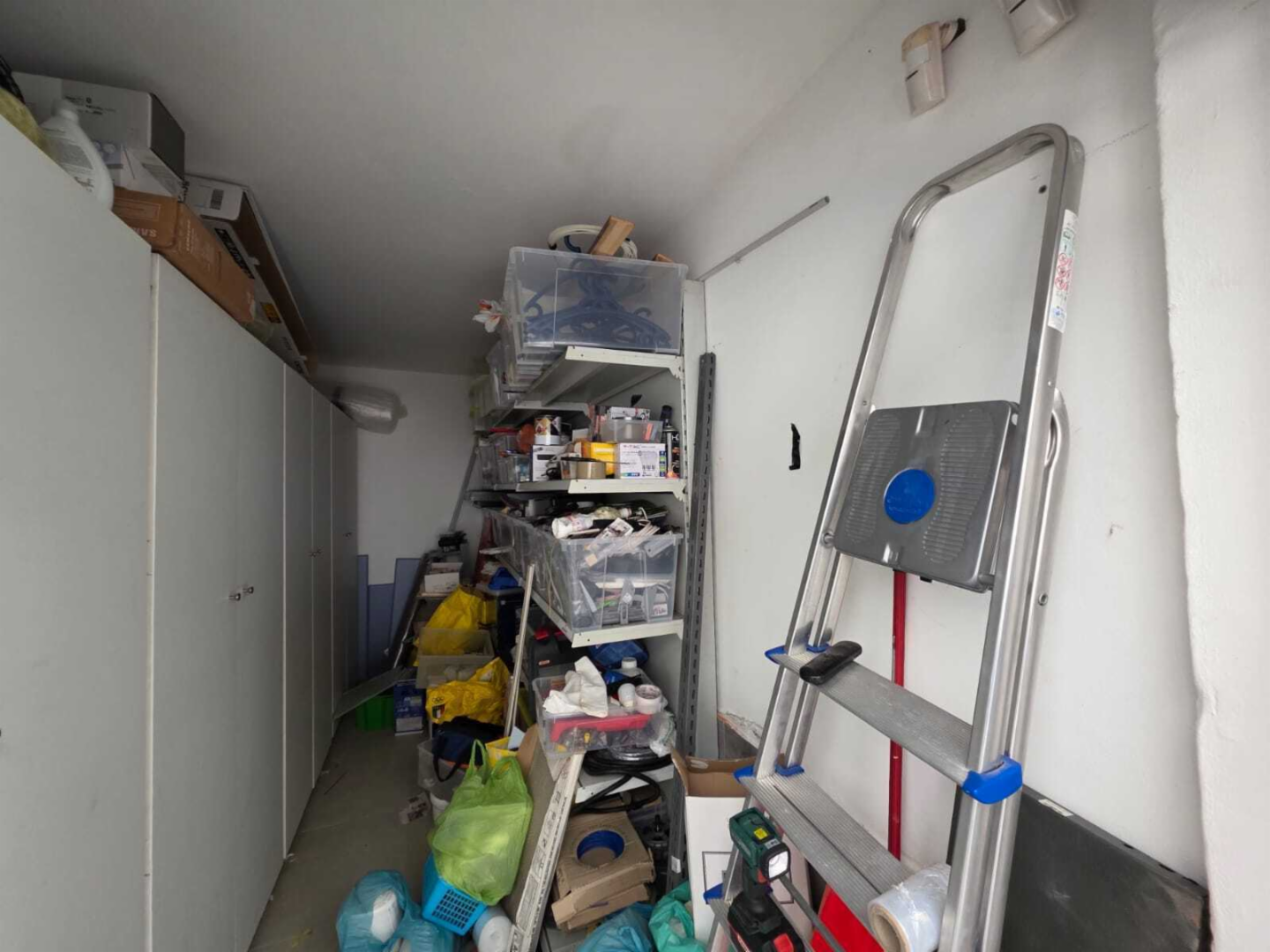 immagine annuncio 1 di 6