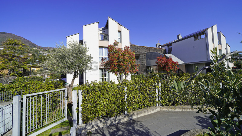 immagine annuncio 7 di 10