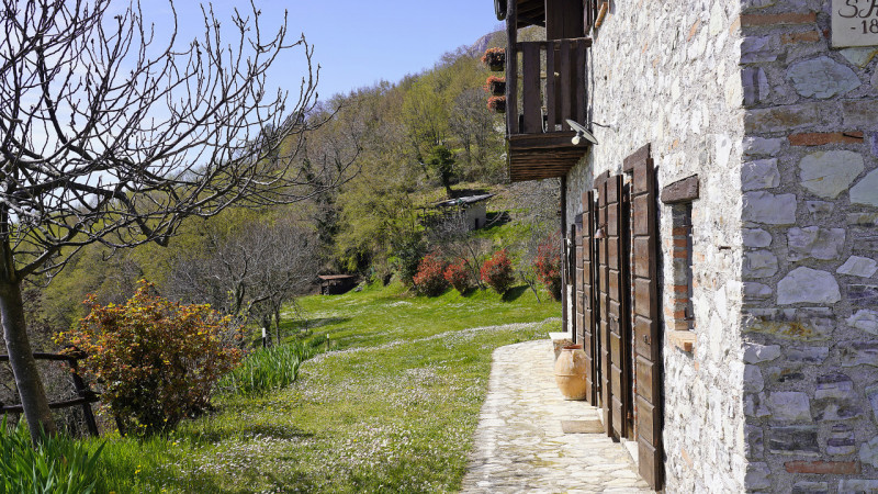 immagine annuncio 4 di 10