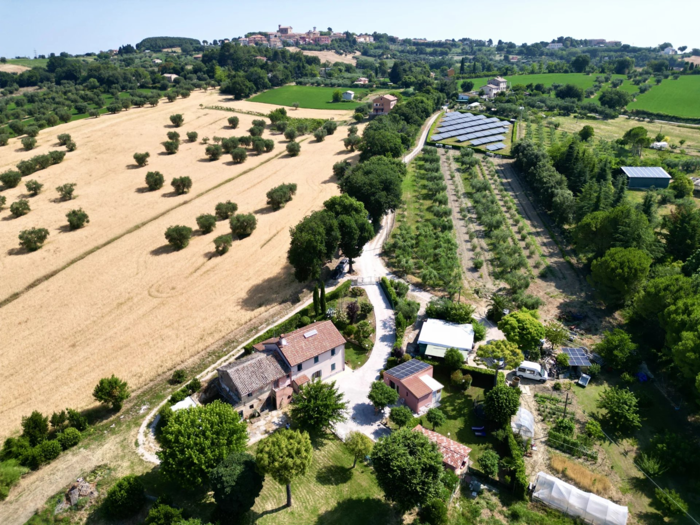 immagine annuncio 1 di 10