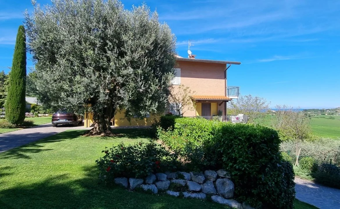 immagine annuncio 6 di 10