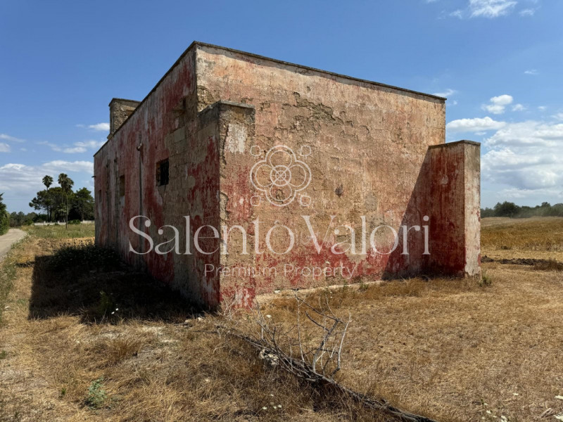 immagine annuncio 3 di 10