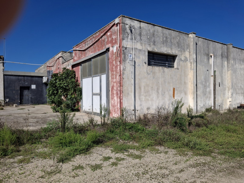 immagine annuncio 9 di 10