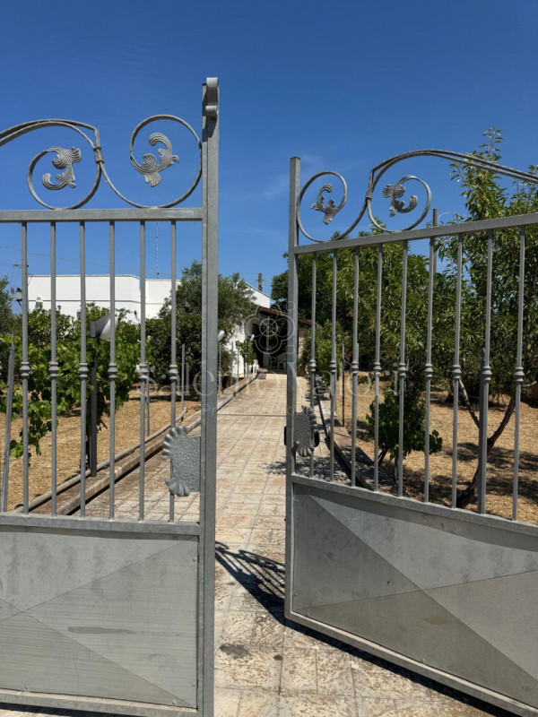 immagine annuncio 8 di 10