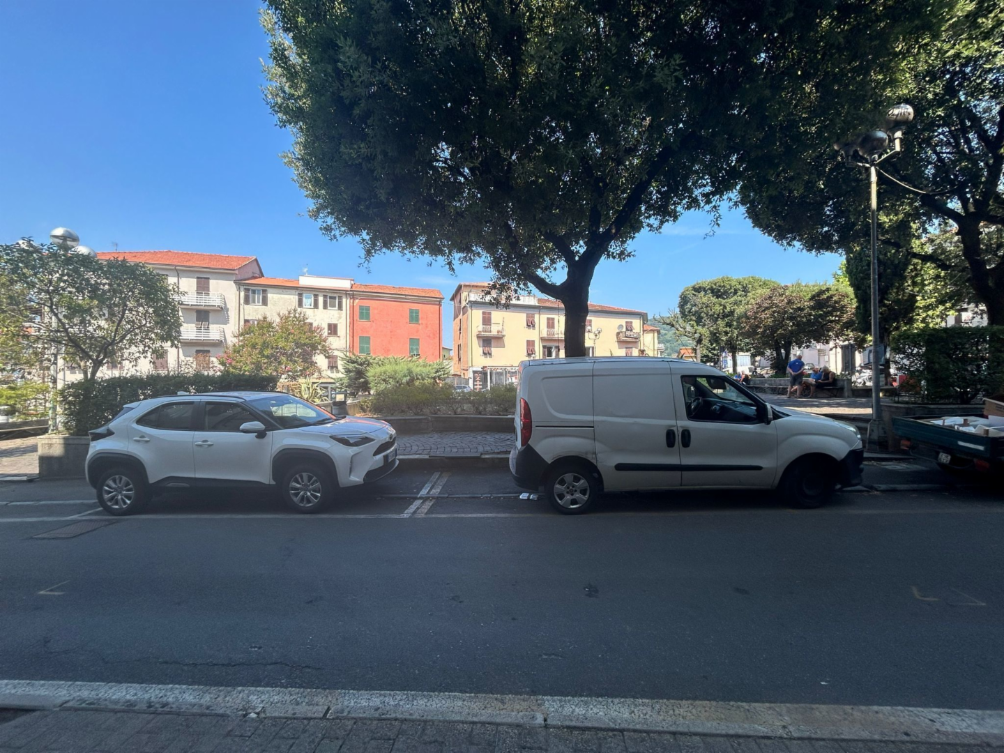 immagine annuncio 3 di 8