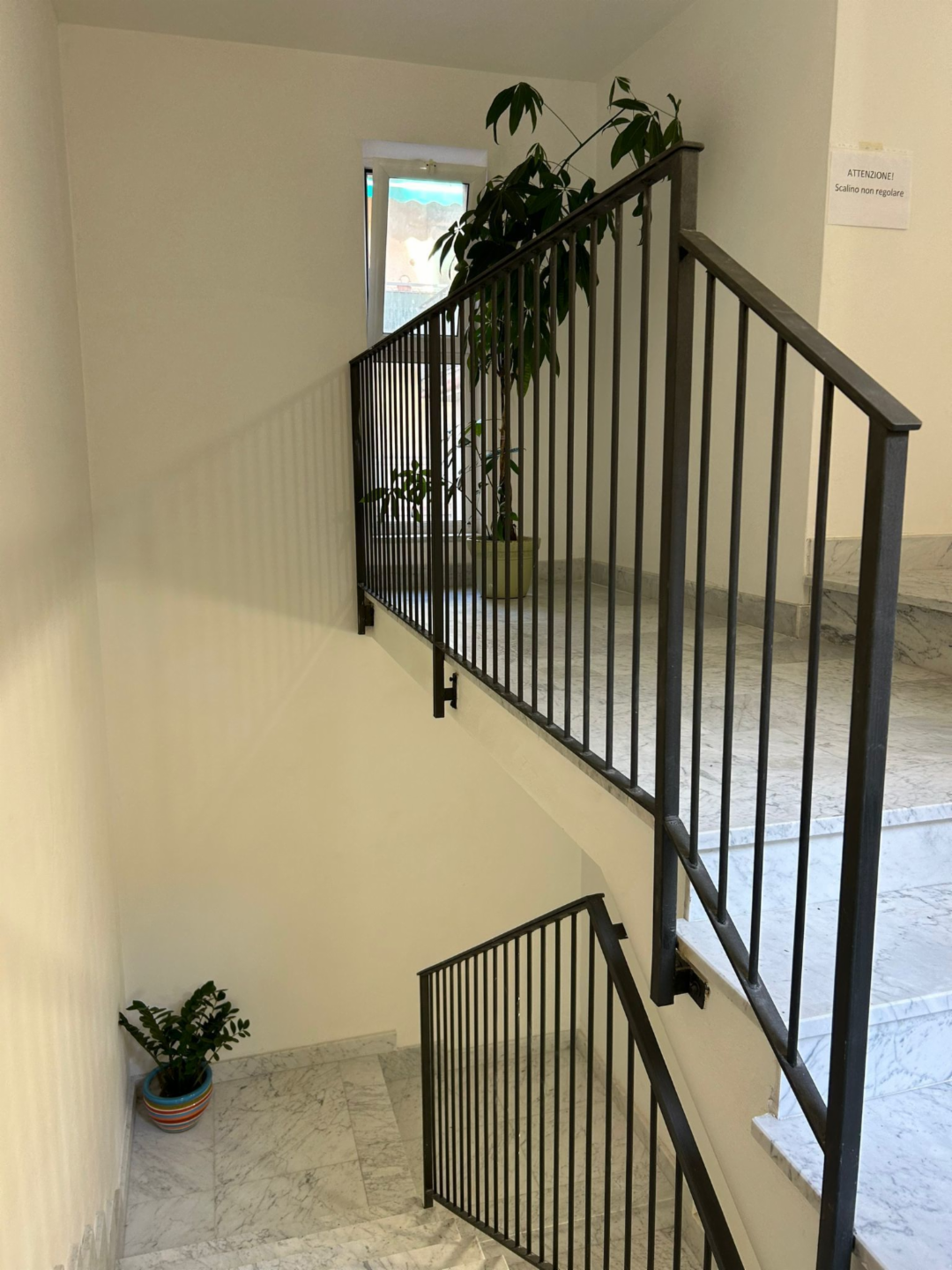 immagine annuncio 4 di 7