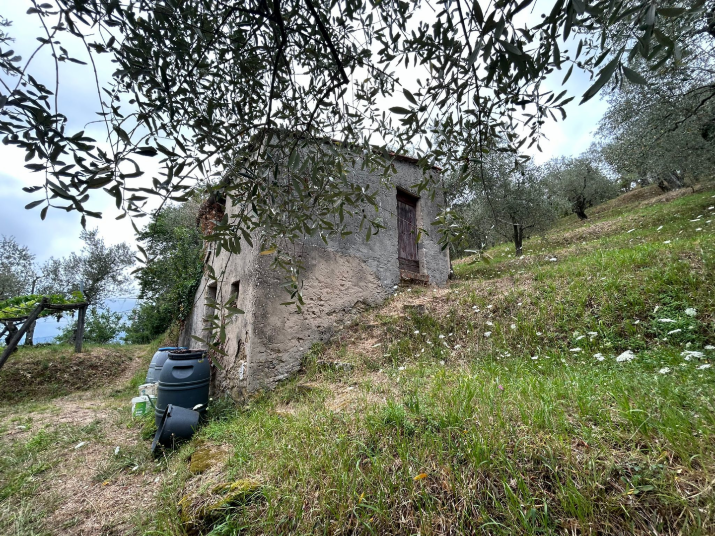 immagine annuncio 2 di 10