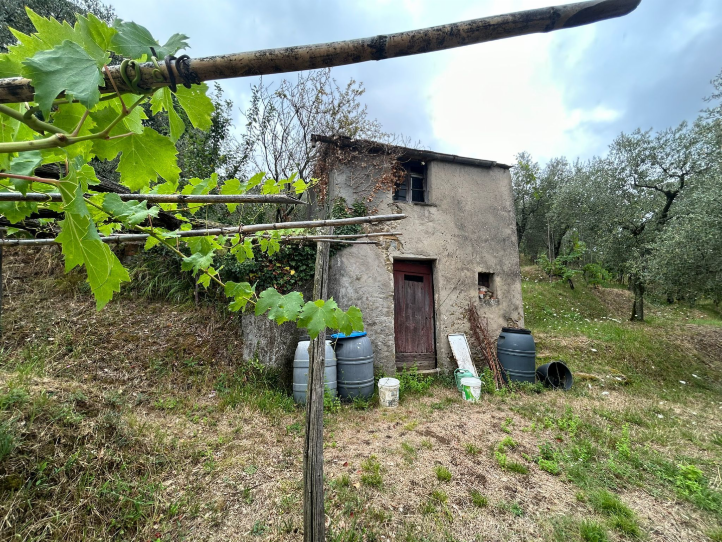 immagine annuncio 4 di 10
