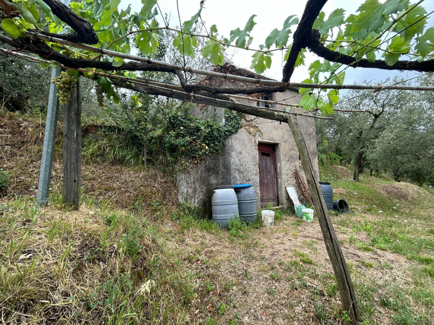 immagine annuncio 7 di 10
