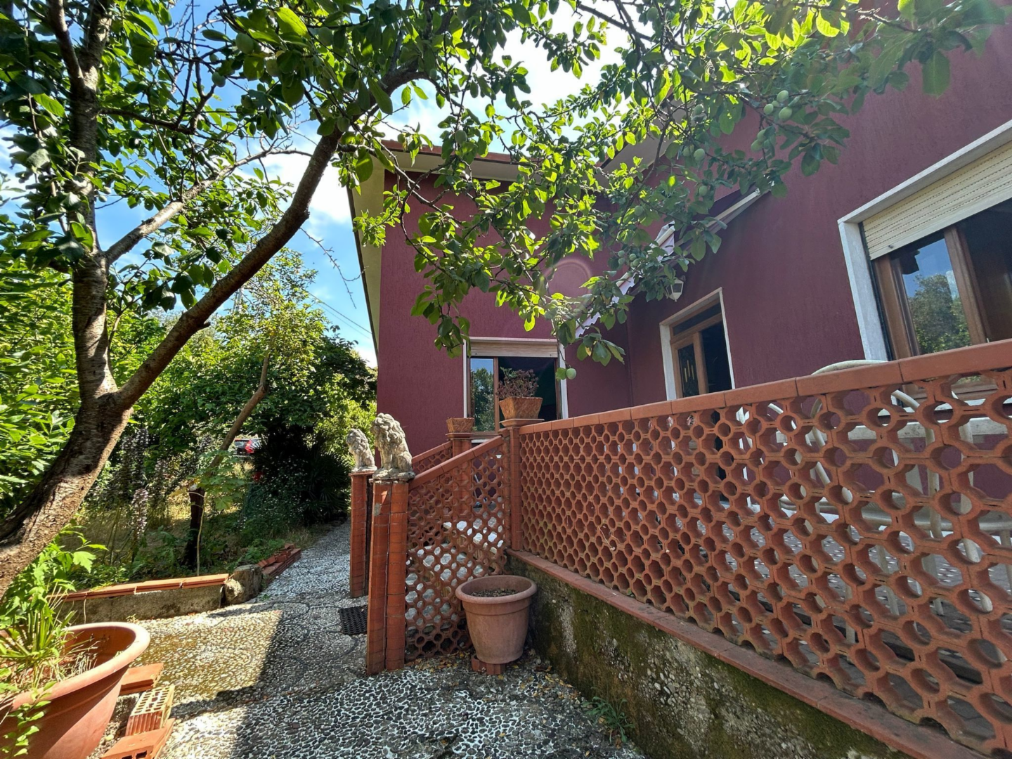immagine annuncio 5 di 10