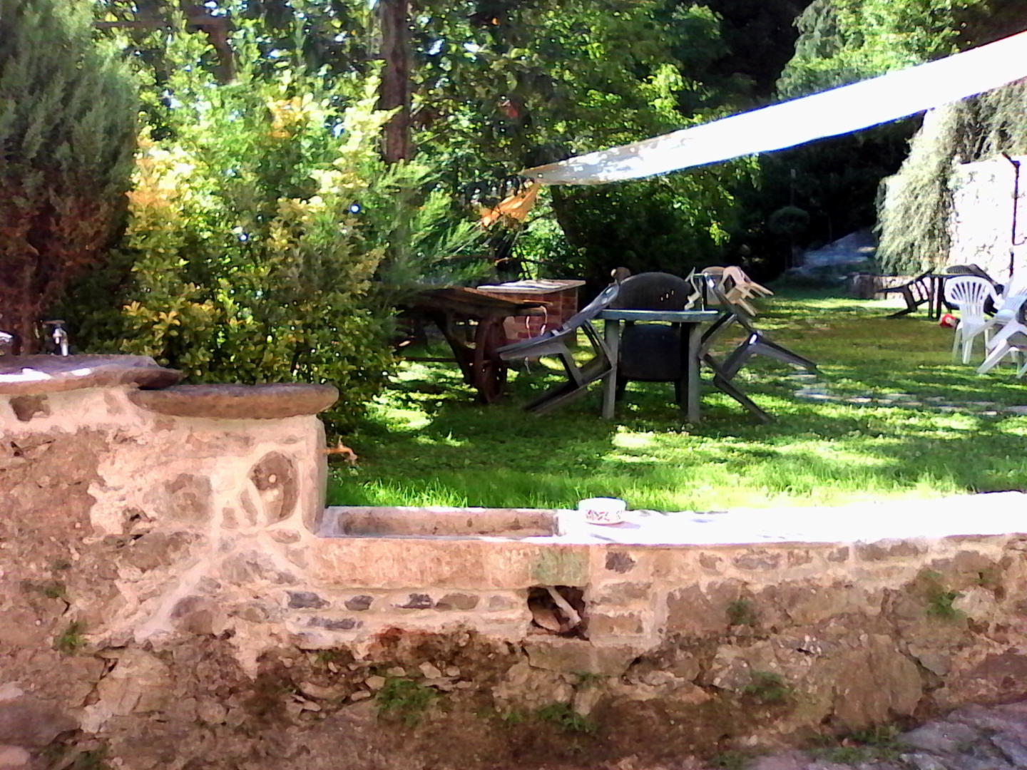 immagine annuncio 4 di 10