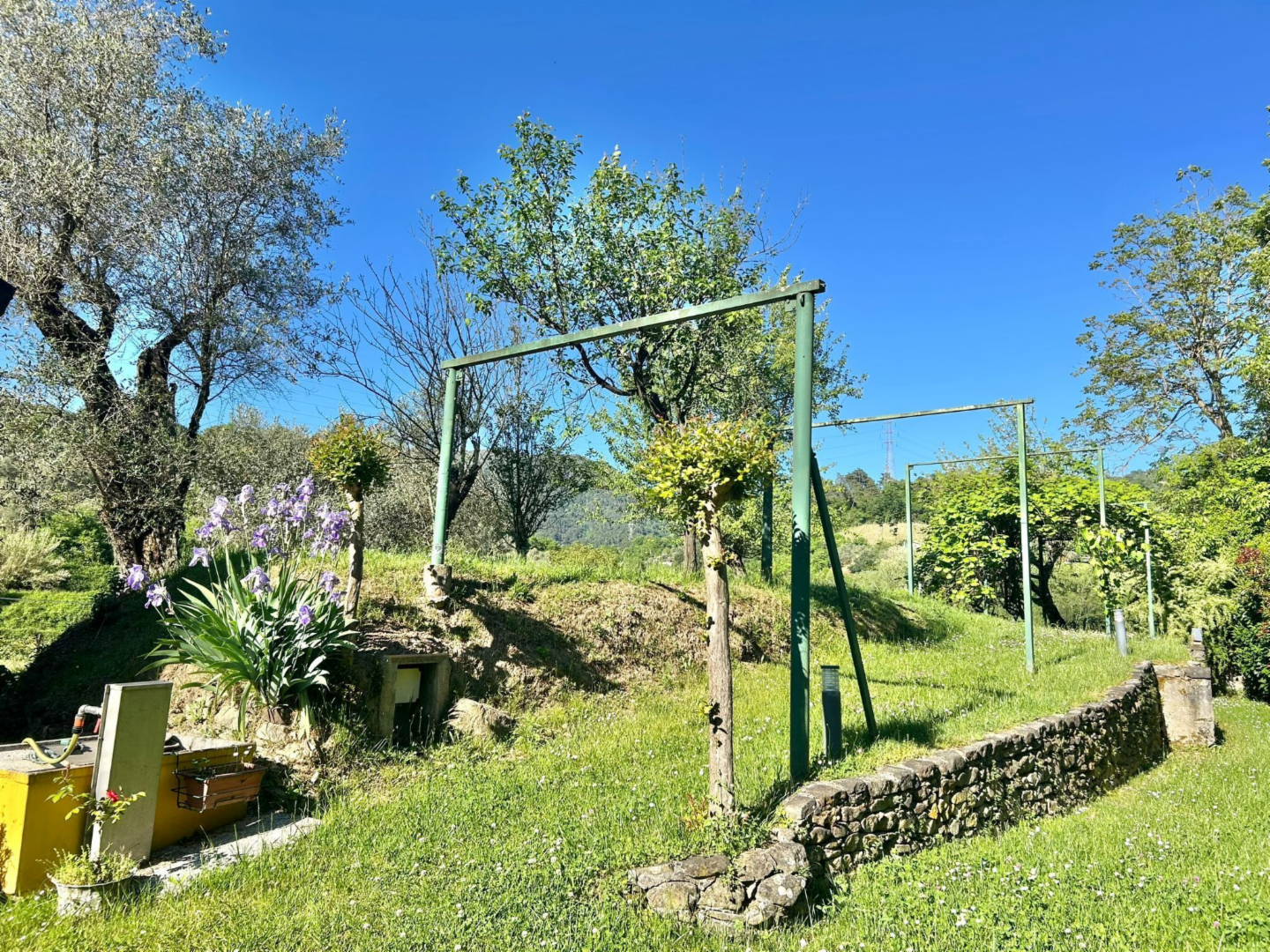 immagine annuncio 3 di 10