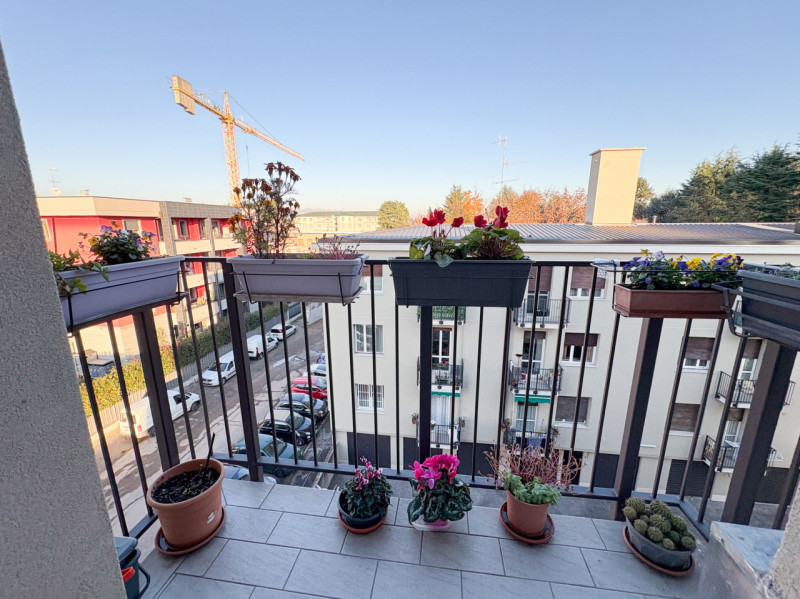 immagine annuncio 8 di 10