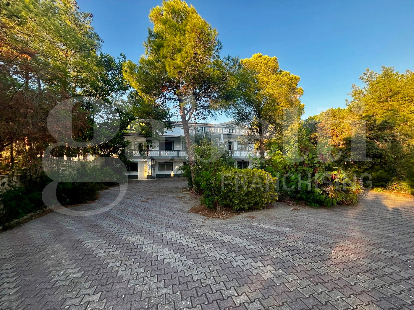 immagine annuncio 2 di 6